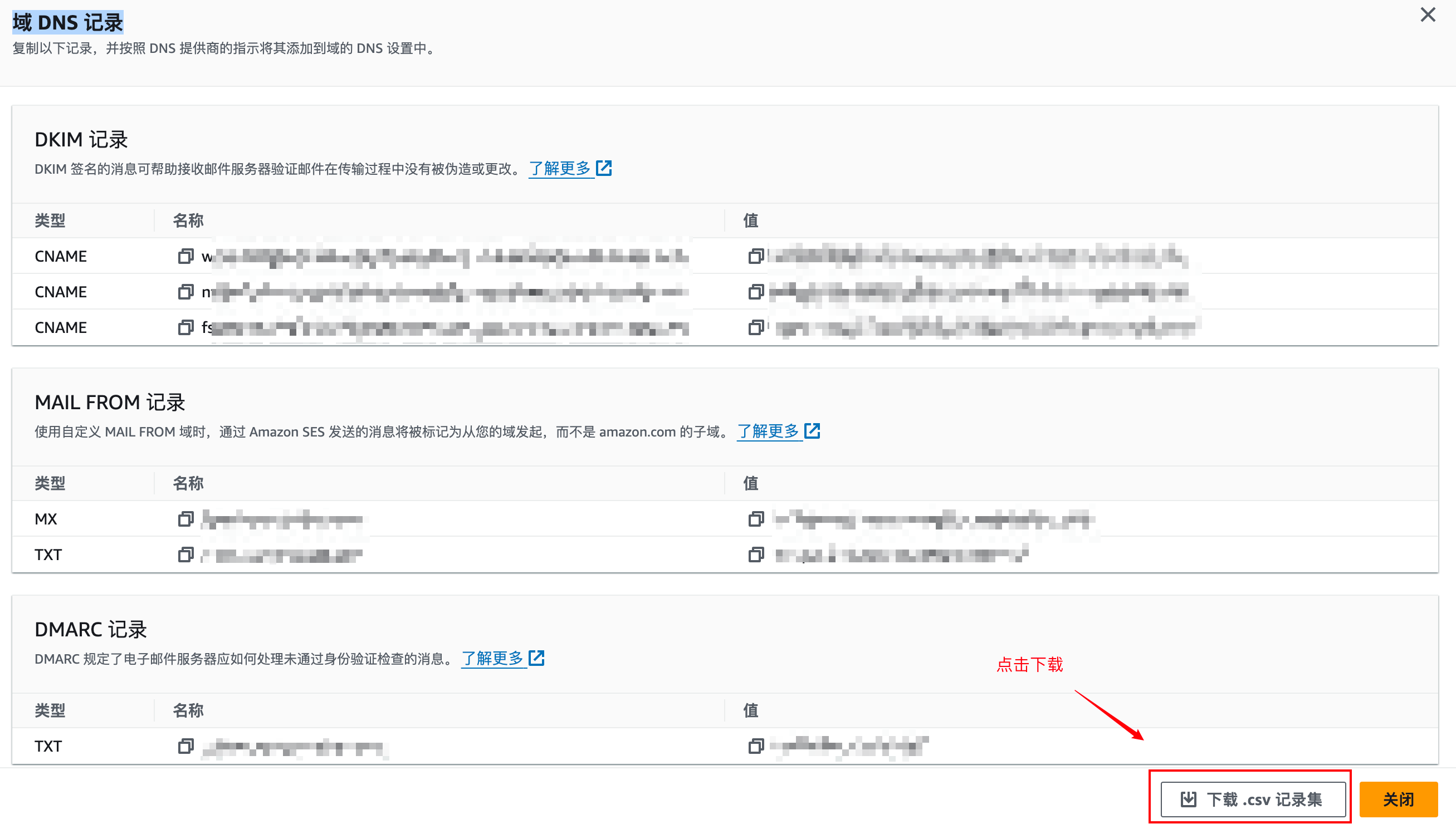 Amazon SES 域 DNS 记录