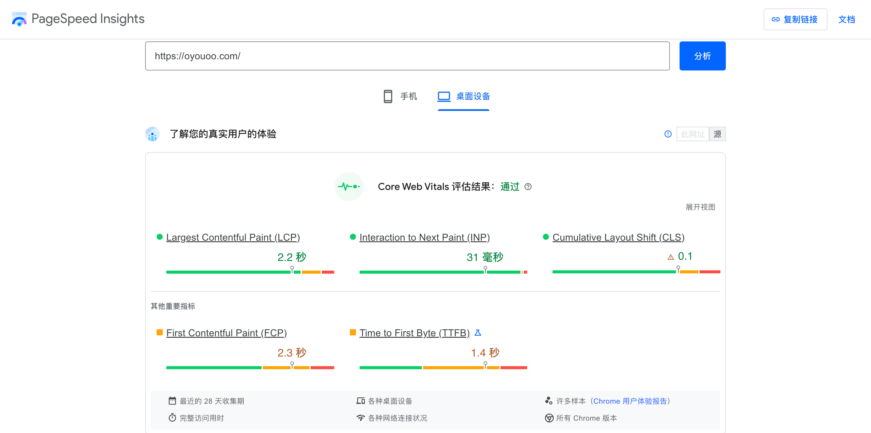 PageSpeed Insights 结果展示